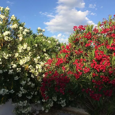 Feriehus Hillside Escape With Pool *
