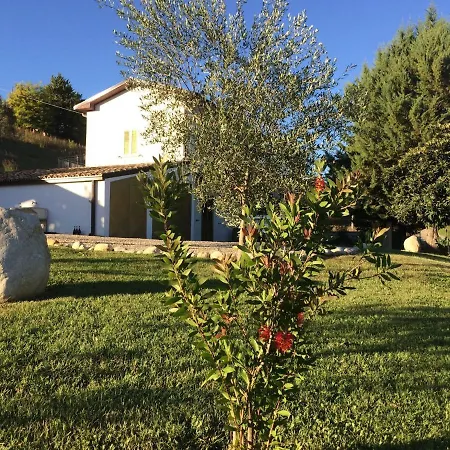 Hillside Escape With Pool Tatil Evi Picciano