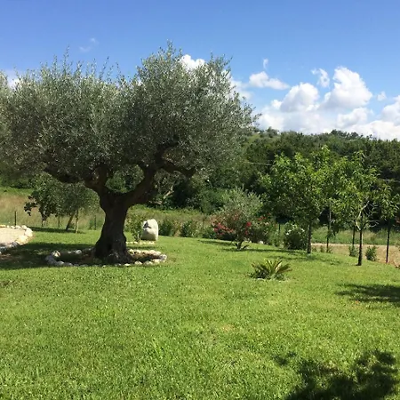 Hillside Escape With Pool Picciano